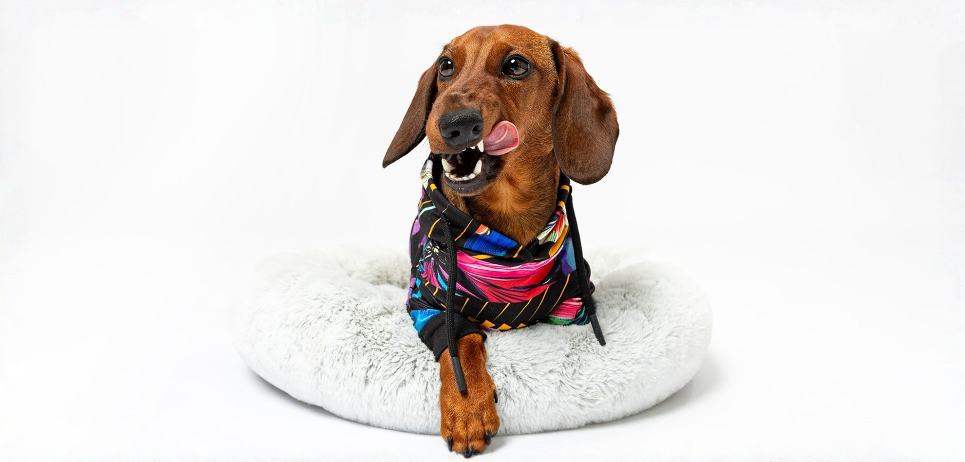 🐾 Kolekcia LeloPET 🐾