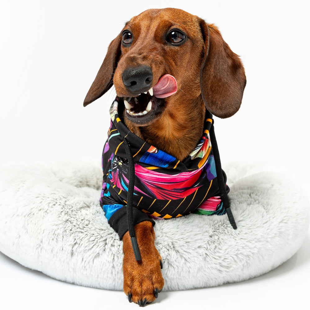 🐾 Kolekcia LeloPET 🐾